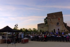 Installation pour le spectacle son et lumière « Dame Garonne »