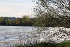 Vue de la Garonne depuis Saint-Pierre-de-Gaubert