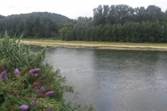 Vue de la Garonne depuis Boé Village