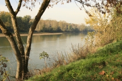 Vue de la Garonne depuis Boé Village
