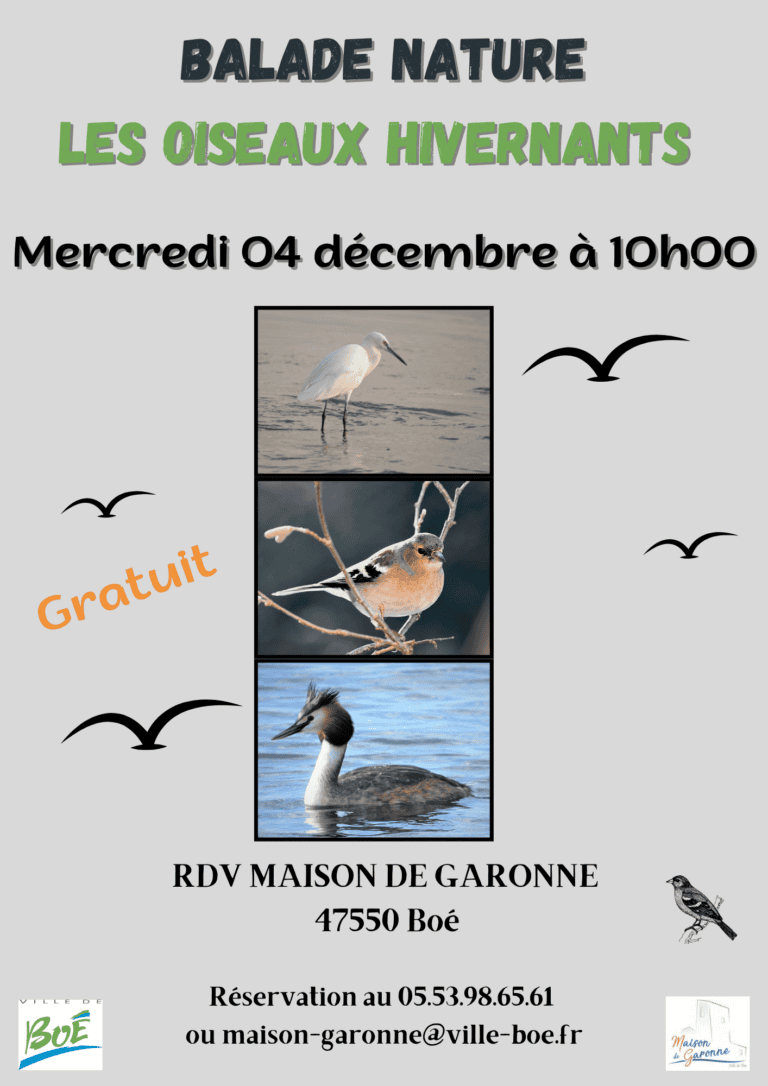 Oiseaux-hivernants