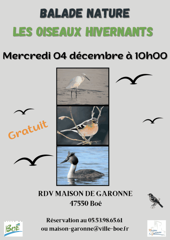 Oiseaux-hivernants