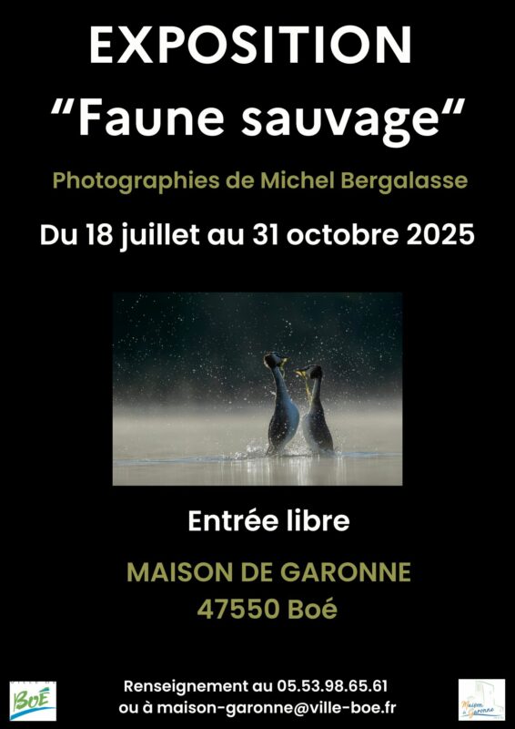 Expo-faune-sauvage