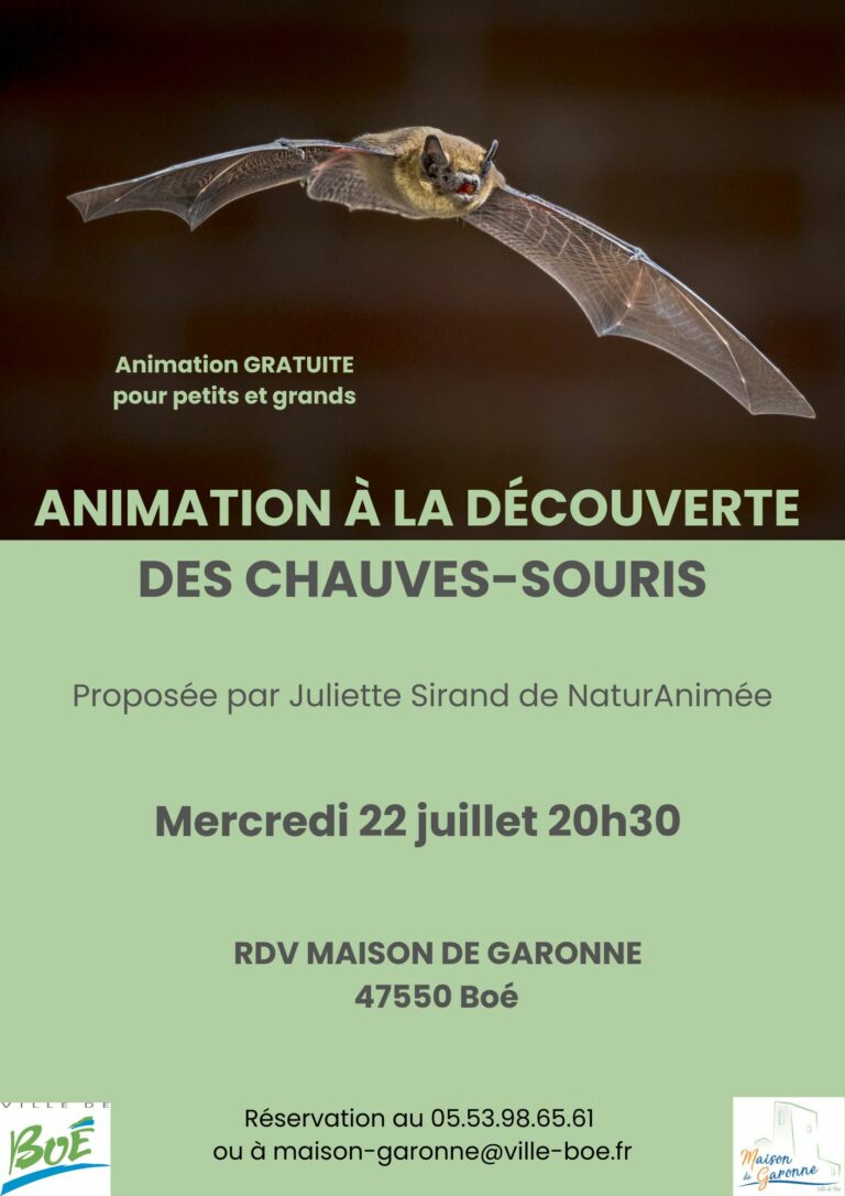 soiree-chauves-souris