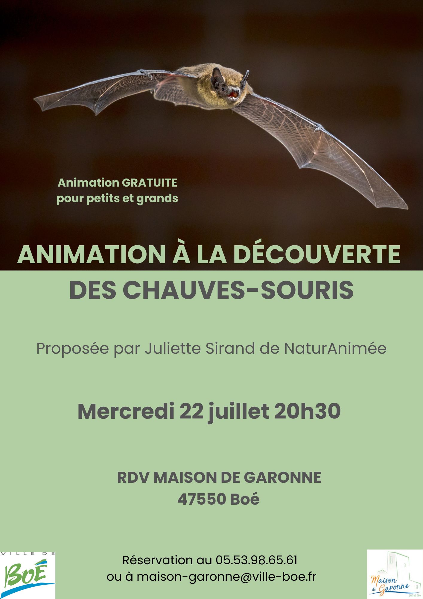 soiree-chauves-souris