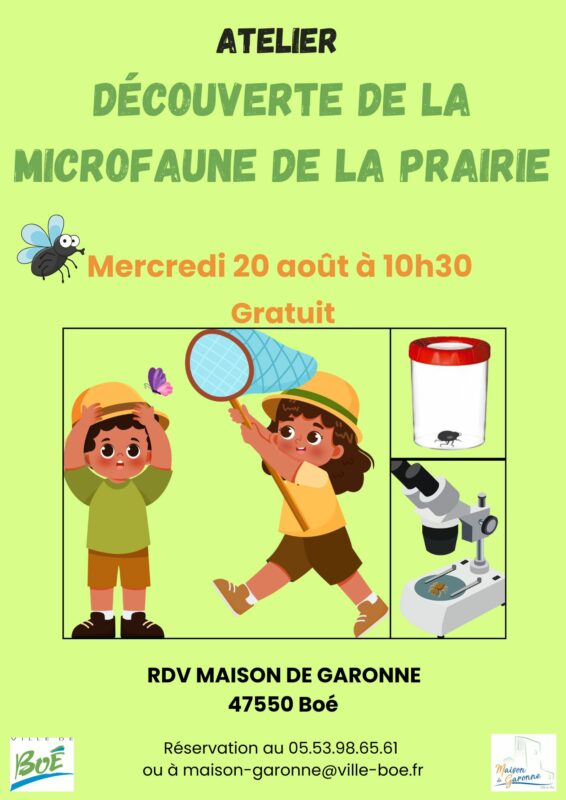 Atelier-microfaune