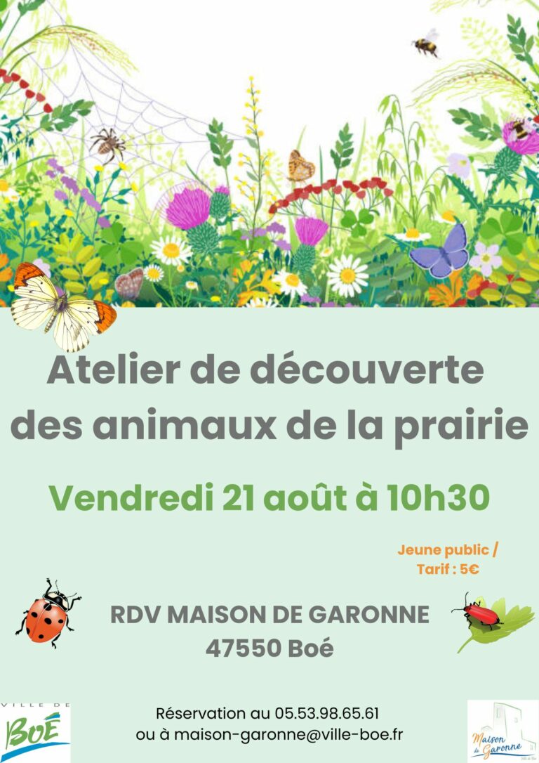 animaux-prairie