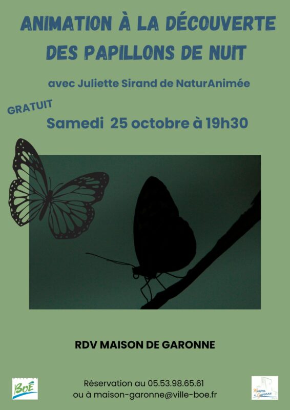 Papillons-de-nuit
