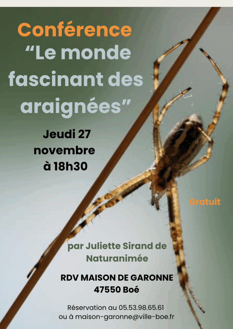Conférence-araignées