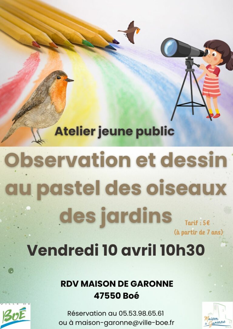 atelier-dessin-oiseaux