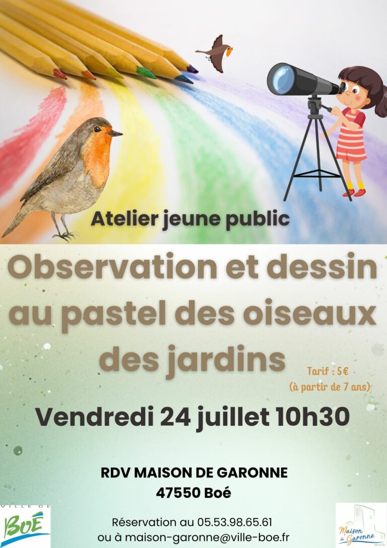 dessin-oiseaux