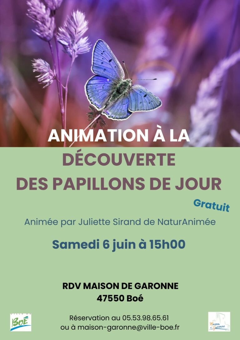 Papillons-de-jour