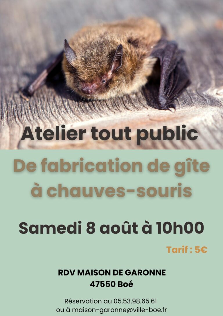 gite-chauves-souris