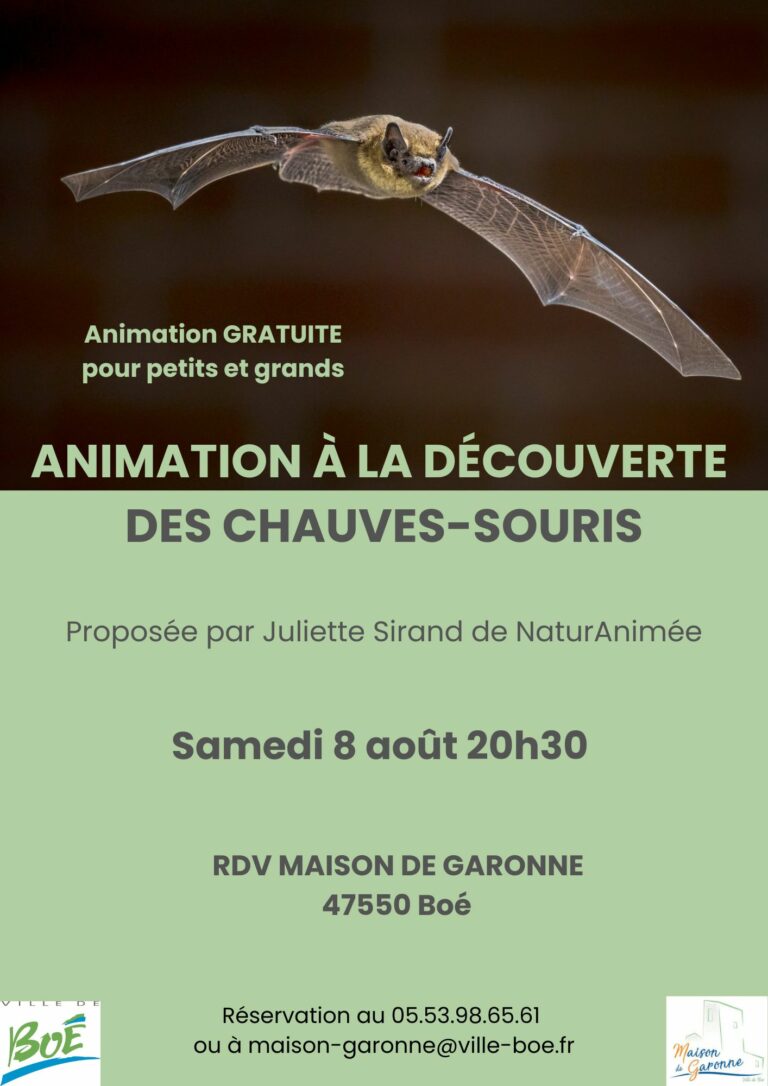 soirée-chauves-souris-aout