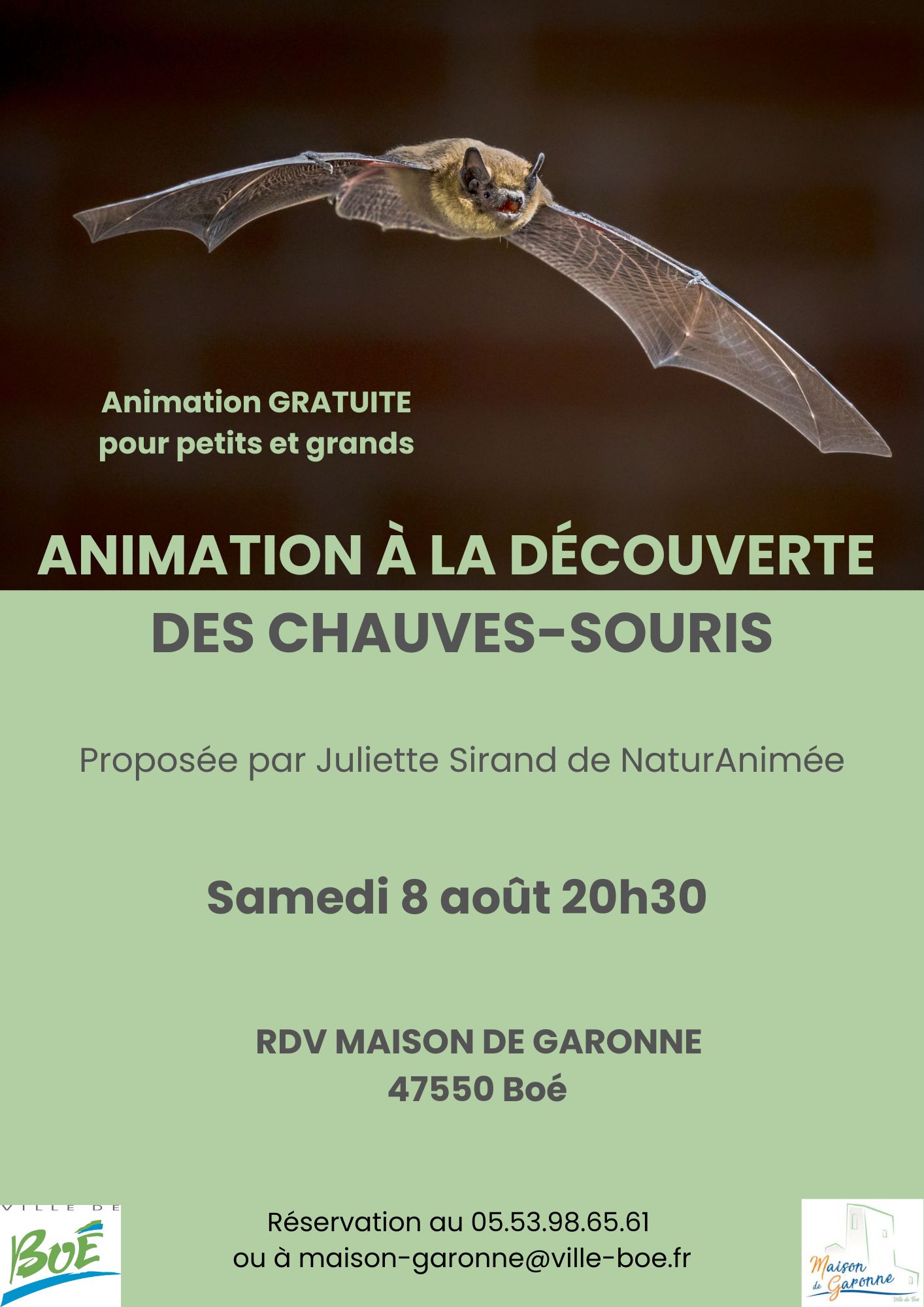 soirée-chauves-souris-aout