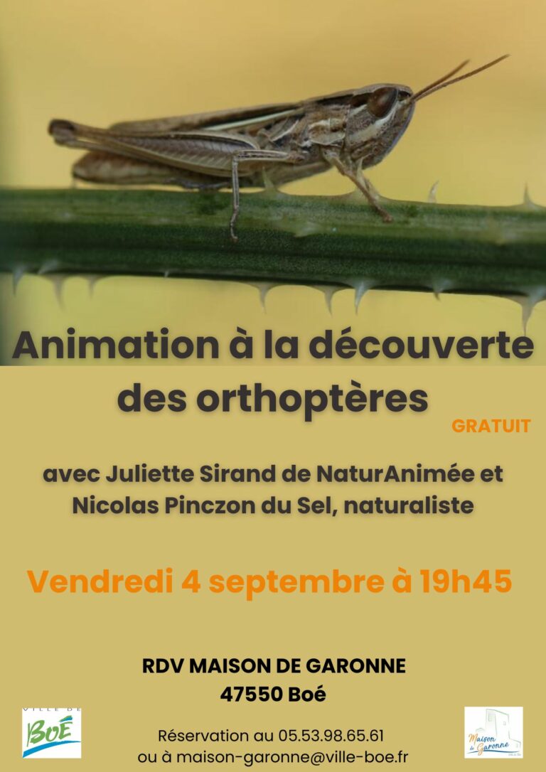 Orthoptères