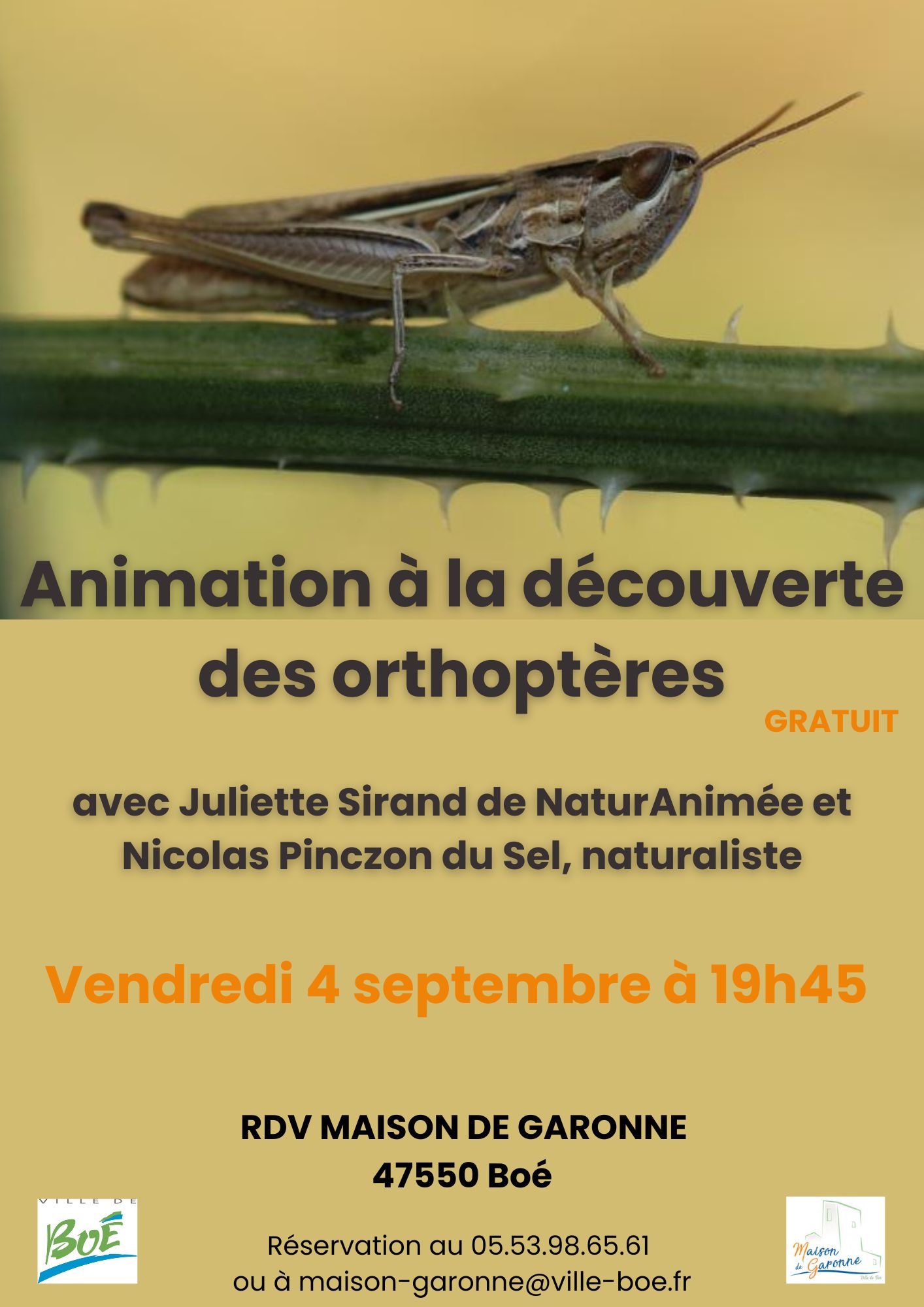 Orthoptères